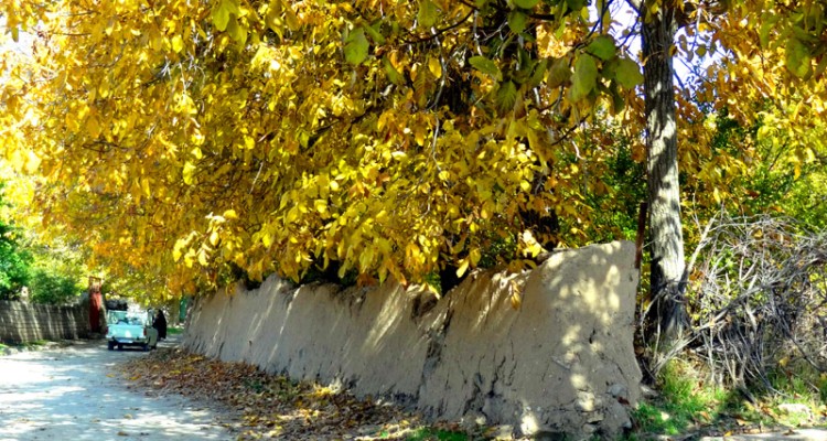 هوای سرد شبانه مستقر در منطقه، کم و بیش تا اوايل هفته آينده، تداوم خواهد داشت