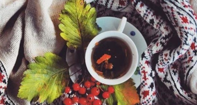 	آتش کشیدی پایتخت شور و شعـرم را 
