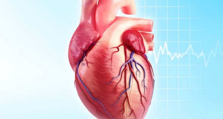  مهم‌ترین عامل خطر بیماری‌های قلبی و عروقی