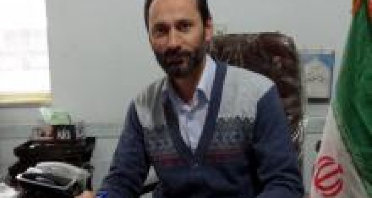 	برداشت زعفران از مزارع کشاورزی شهرستان صحنه پایان یافت 