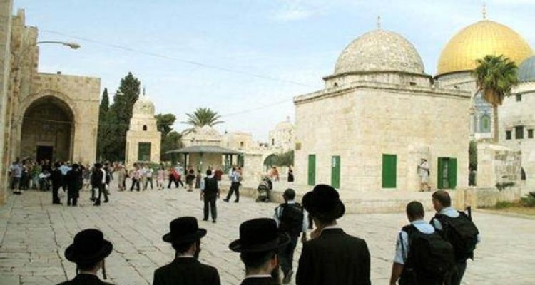 هتک حرمت مجدد شهرک‌نشینان صهیونیست به مسجدالاقصی
