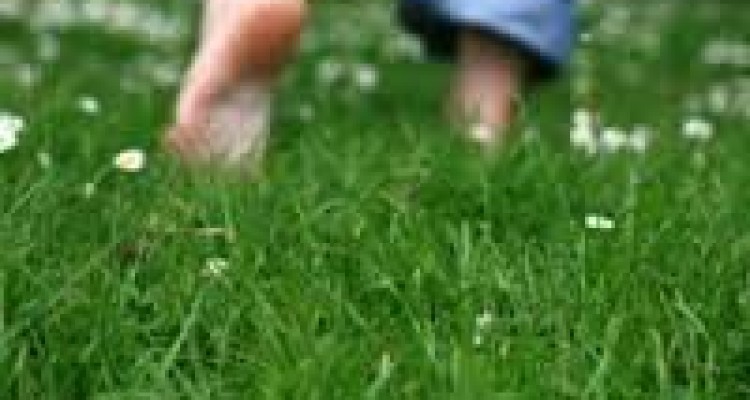  پیاده‌روی با پای برهنه بر روی چمن را از دست ندهید