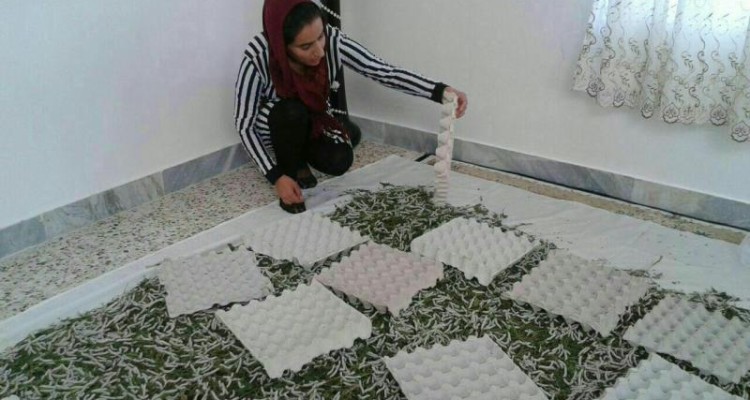 گفتگو با کارآفرین برتر روستایی در اولین جشنواره ملی کشاورزی ایران / روژین پناهنده: برای شکوفایی اقتصاد مقاومتی پا به عرصه تولید گذاشته ام
