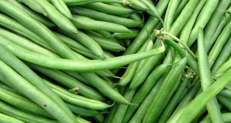  آشنایی با خواص لوبیا سبز 