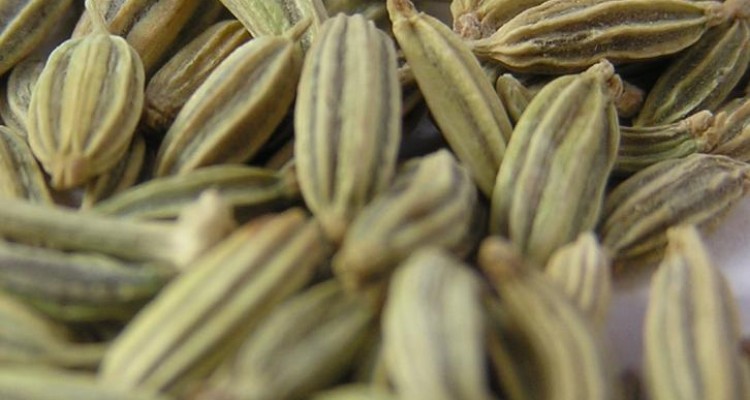  با این گیاهان بدنتان را سم زدایی کنید! 