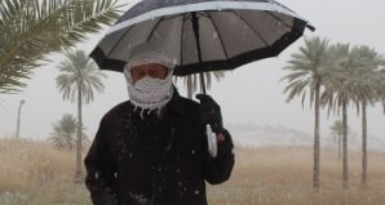  قصرشیرین بعد از 9 سال لباس سفید بر تن کرد/ دانه های زیبای برف بر روی درختان نخل + تصاویر 