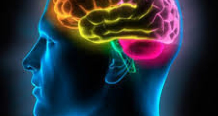  چرا اوتیسم در پسران شایع‌تر است؟