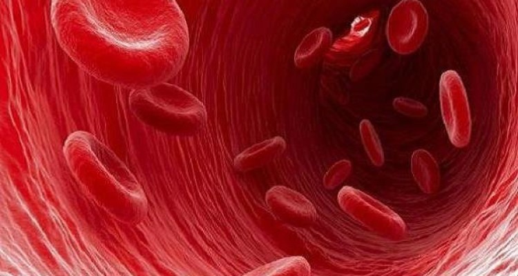 راه های بهبود جریان خون در بدن را بشناسید