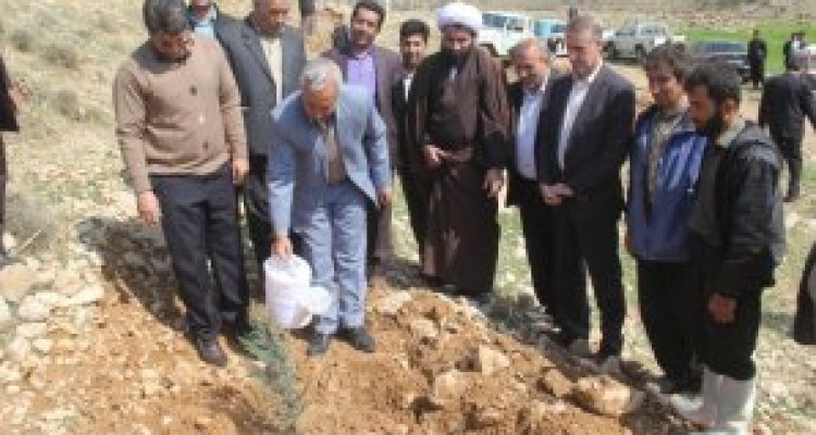	درختکاری نقش مهمی در سالم سازی هوای جامعه دارد / غرس 2 هزار اصله نهال در روستای پاک پاطاق 