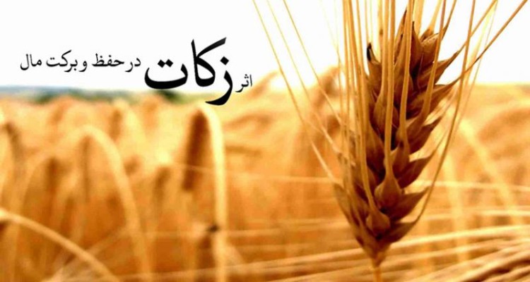 آخرین جلسه ستاد احیاء زکات سال 95 در صحنه برگزار شد