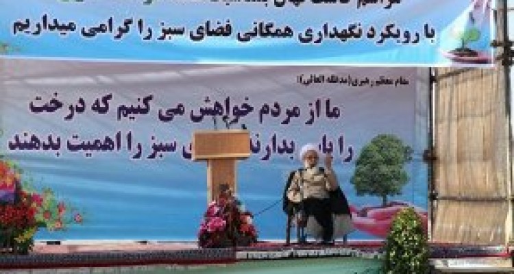 	کاشت درخت و جنگل کاری مانع از مشکلات زیست محیطی در آینده است 