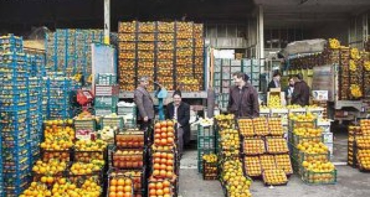 	ذخیره ۹۸۰ تن میوه وارداتی در سردخانه‌های استان کرمانشاه 