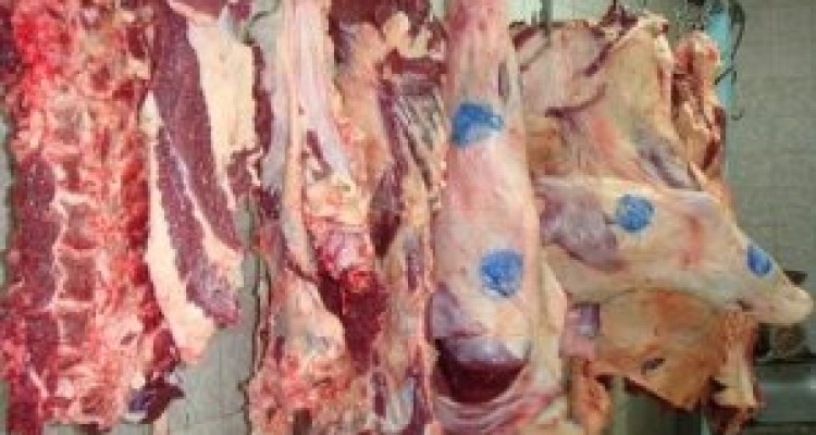 	کشف و ضبط بیش از ۱۰۰ کیلوگرم گوشت کشتار غیرمجاز در هرسین 