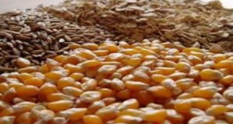 	کشف و ضبط 6 تن خوراک طیور غیرمجاز در سرپل ذهاب 
