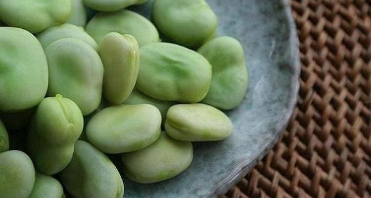 خوردن باقلا برای افراد مبتلا به اختلال ژنتیکی G6PD کُشنده است