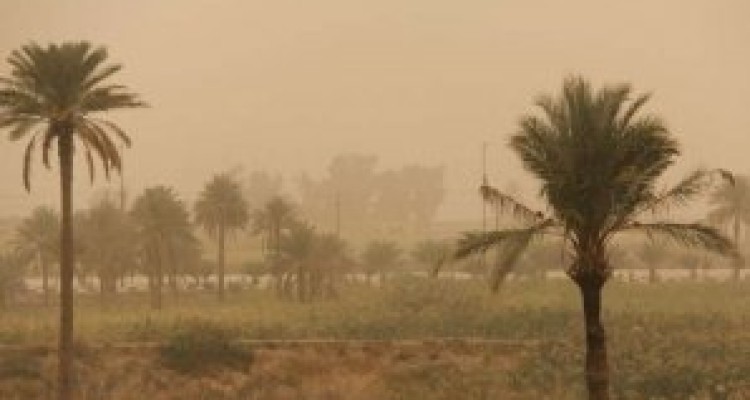  گرد و غبار دید افقی را در قصرشیرین کاهش داد 
