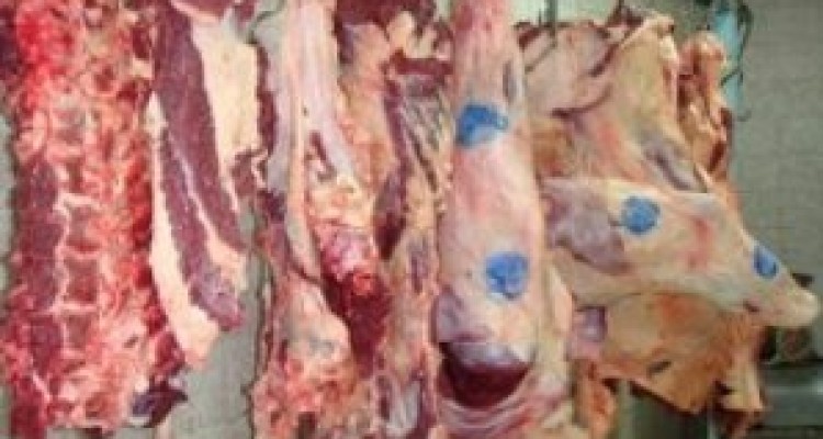 	امحاء ۳۰۰ تن فرآورده خام دامی ناسالم در استان کرمانشاه 