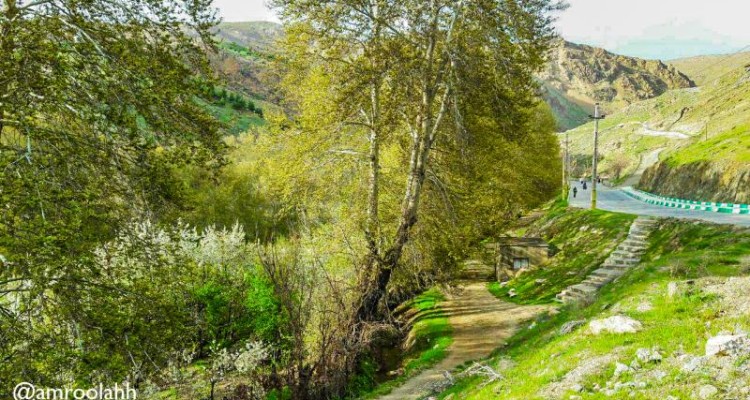 عکس هایی ناب بهاری از طبیعت شهرستان صحنه