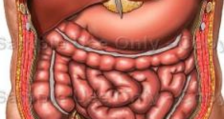  نکات تغذیه‌ای برای درمان گاستریت