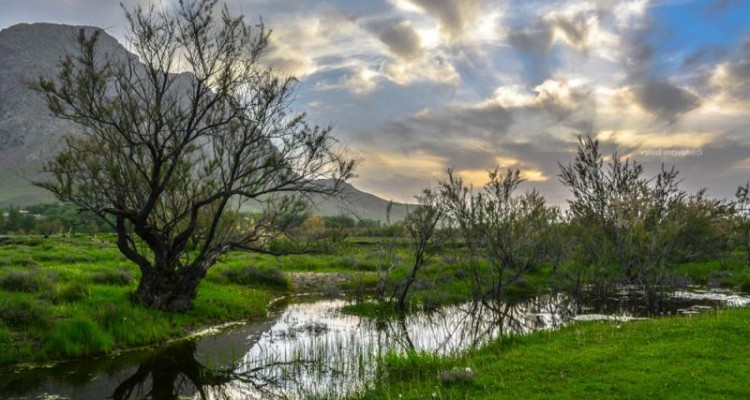 همه چیز در مورد روستای عامله شهرستان صحنه + عکس