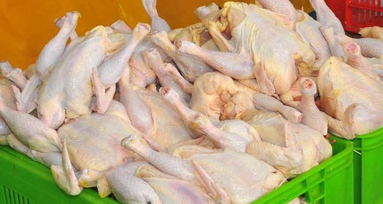 کار تجهیز کشتارگاه چهار هزار قطعه ای صحنه در دست پیگیری است
