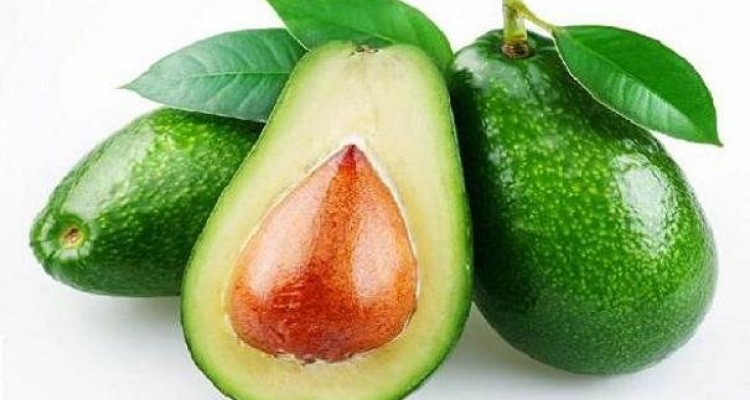 برای کاهش وزن «آووکادو» بخورید