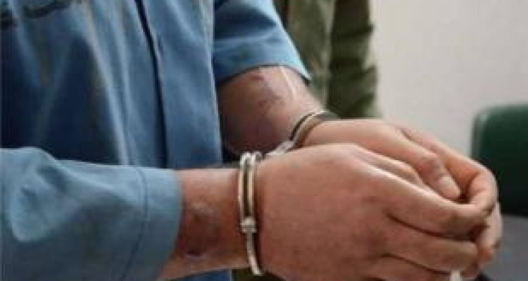 اعتراف سارقان به سرقت ۱۰۰ رأس دام در سنقروکلیایی 