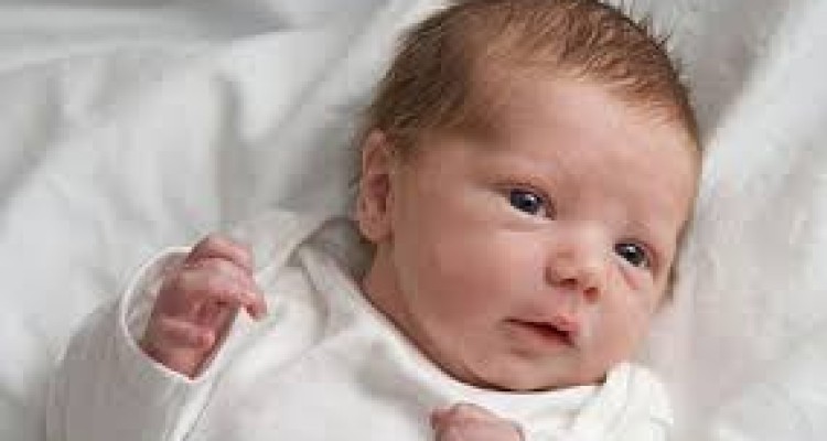 اکثر نوزادان نارس عملکرد تحصیلی خوبی دارند