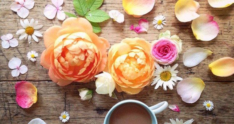  طرز برق انداختن گل های مصنوعی با نمک 