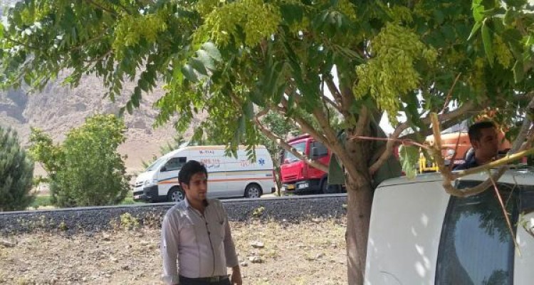 خودروی پراید باعث شکسته شدن پنج درخت شد + تصویر