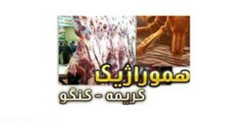 بیماری های مهلک قرن 21 را بشناسید