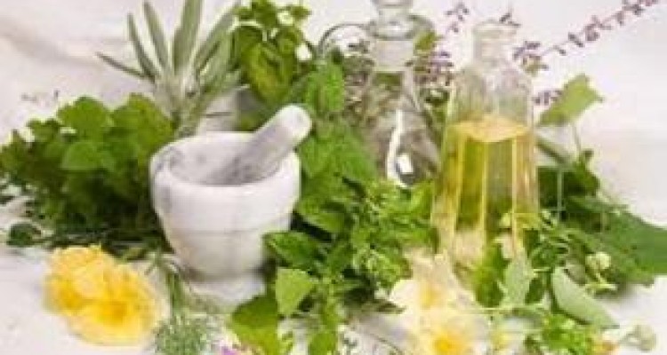 پرداخت تسهیلات با سود ۴ درصد به طرح‌های گیاهان دارویی در کرمانشاه 