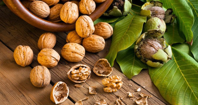 مصرف گردو موجب کاهش اشتها می شود