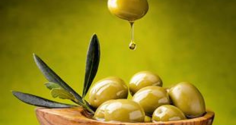 صنایع تبدیلی نقش مهمی در توسعه و پیشرفت روستا دارد/ برگزاری دوره آموزشی پرورش زیتون در بخش مرکزی سرپل ذهاب 