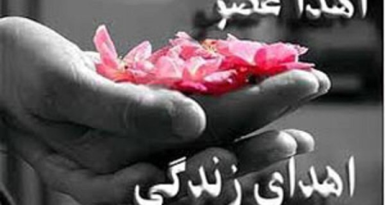 اهدای اعضای بدن معلم کبودراهنگی به ۶ بیمار