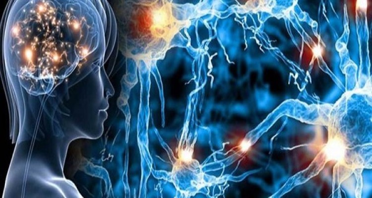 گزگز یا بی‌حسی دست و پا شایع‌ترین علامت «ام‌اس» است