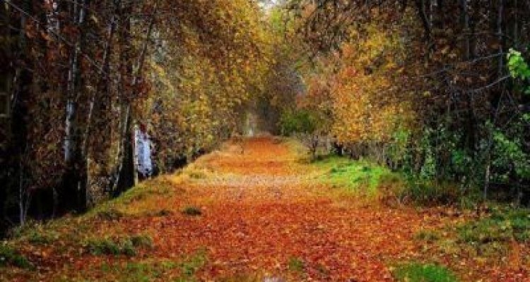  آشنایی با جاذبه های دیدنی و گردشگری کرج