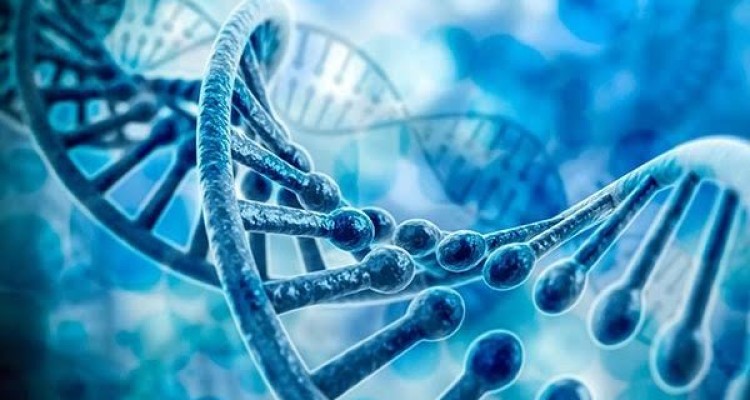 ۸۰ درصد ریسک ابتلا به «شیزوفرنی» ژنتیکی است