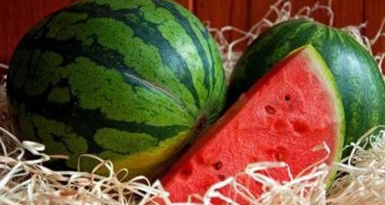  آیا خوردن هندوانه افراد را چاق می کند؟