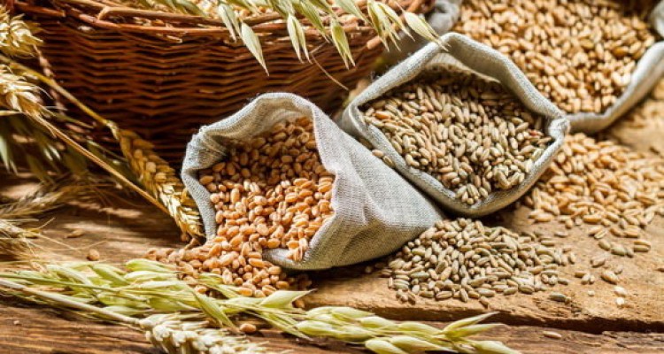  فیبر، مرگ ناشی از سرطان روده را به تاخیر می‌اندازد