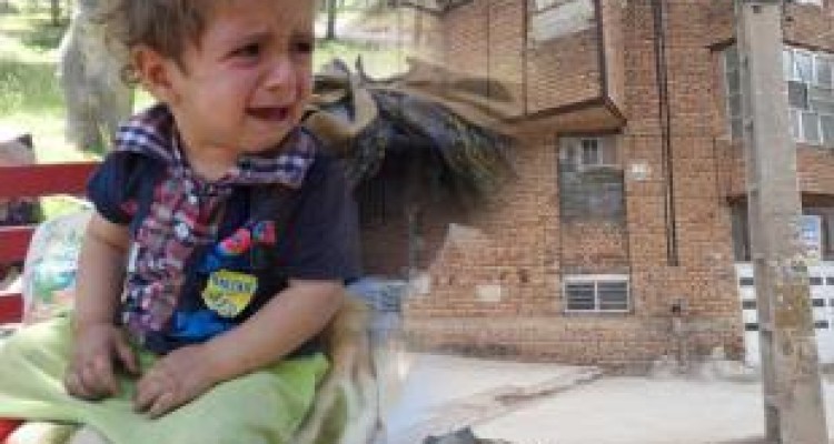 مردم و کمیته امداد دست به کار شدند/ اسکان خانواده بی خانمان + عکس 