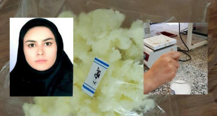 نایلون هایی که دوست دار محیط زیست هستند