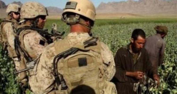 بدون نابودی مواد مخدر پیروزی در برابر طالبان امکانپذیر نیست