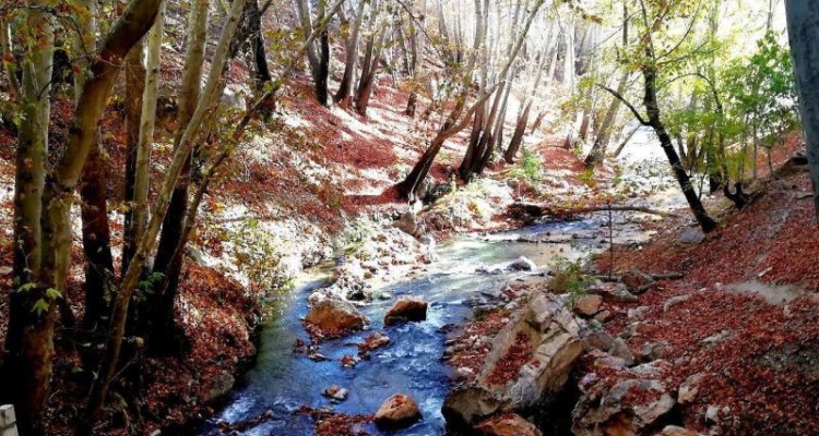طبیعت بسیار زیبای پاییز در نقاط مختلف شهر صحنه 