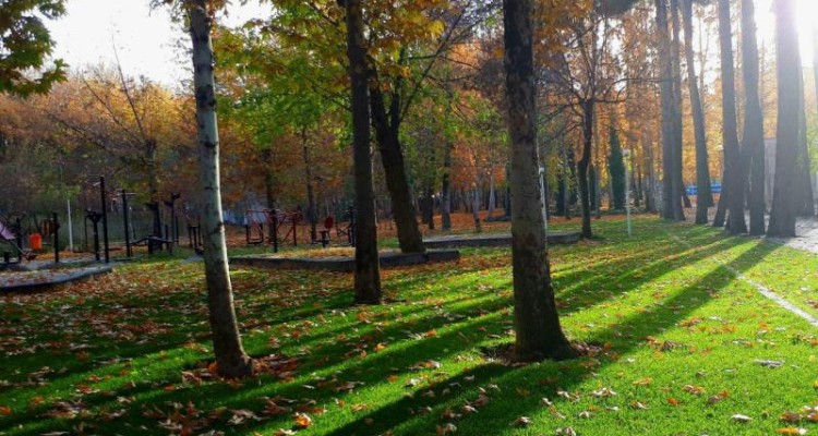  استقرار هوای سرد  تا اواسط هفته جاری ادامه دارد / دمای شهر صحنه به منفی سه درجه سانتی گراد رسید