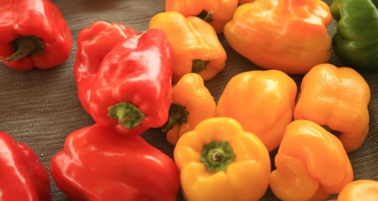 بررسی علل کم‌ خونی با نگاهی به فقر آهن و ویتامین B6