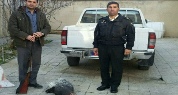 یک سر تشی از شکارچی غیر مجاز در شهرستان صحنه کشف و ضبط شد