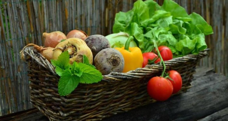 غذا درمانی: تغذیه خوب، مساوی است با احساس بهتر
