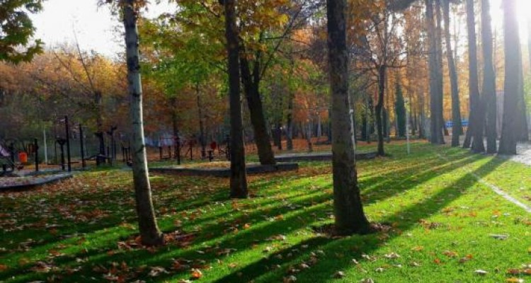 دمای شهر صحنه کاهش می یابد
