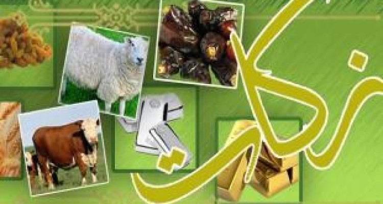 رشد ۱۵۴درصدی زکات جمع آوری شده در استان کرمانشاه 